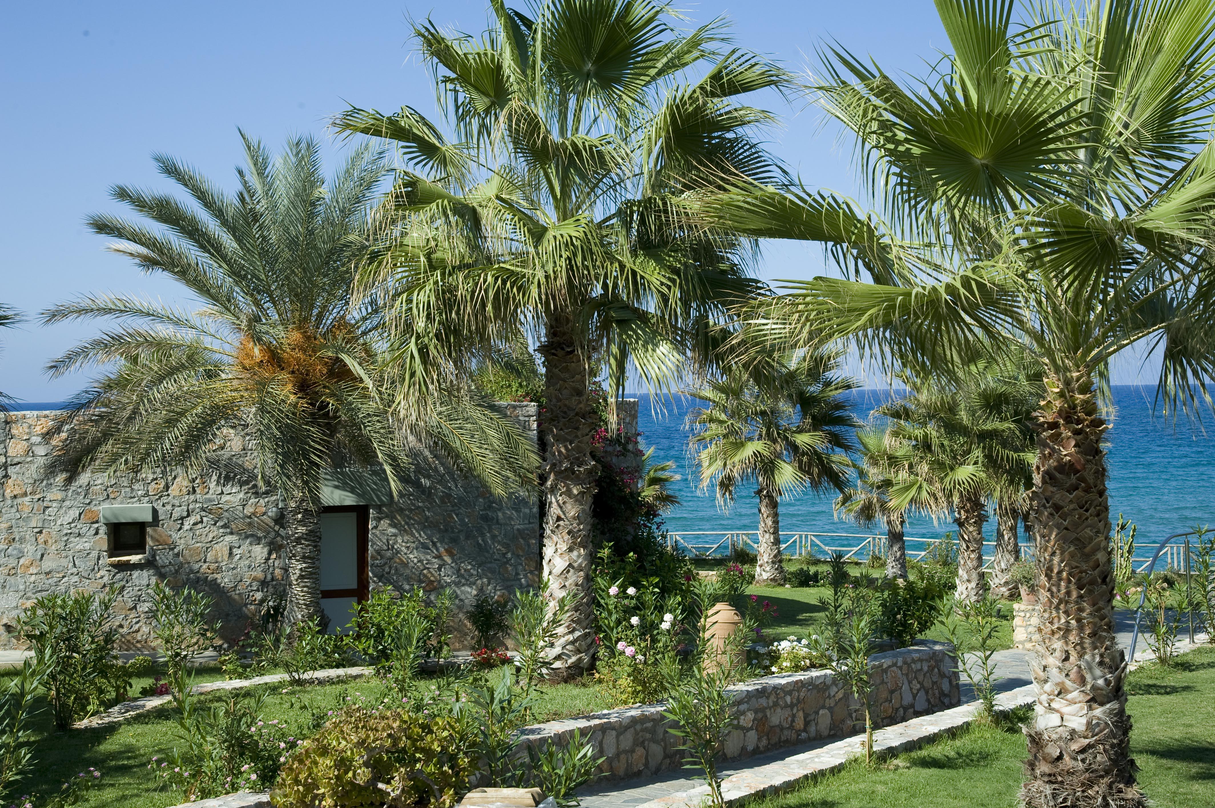 Ikaros Beach, Luxury Resort & Spa - Adults Only Malia  Exterior photo